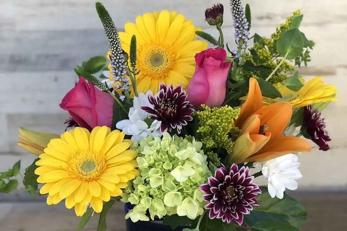 Rose Garden Florist and Nursery - cover photo