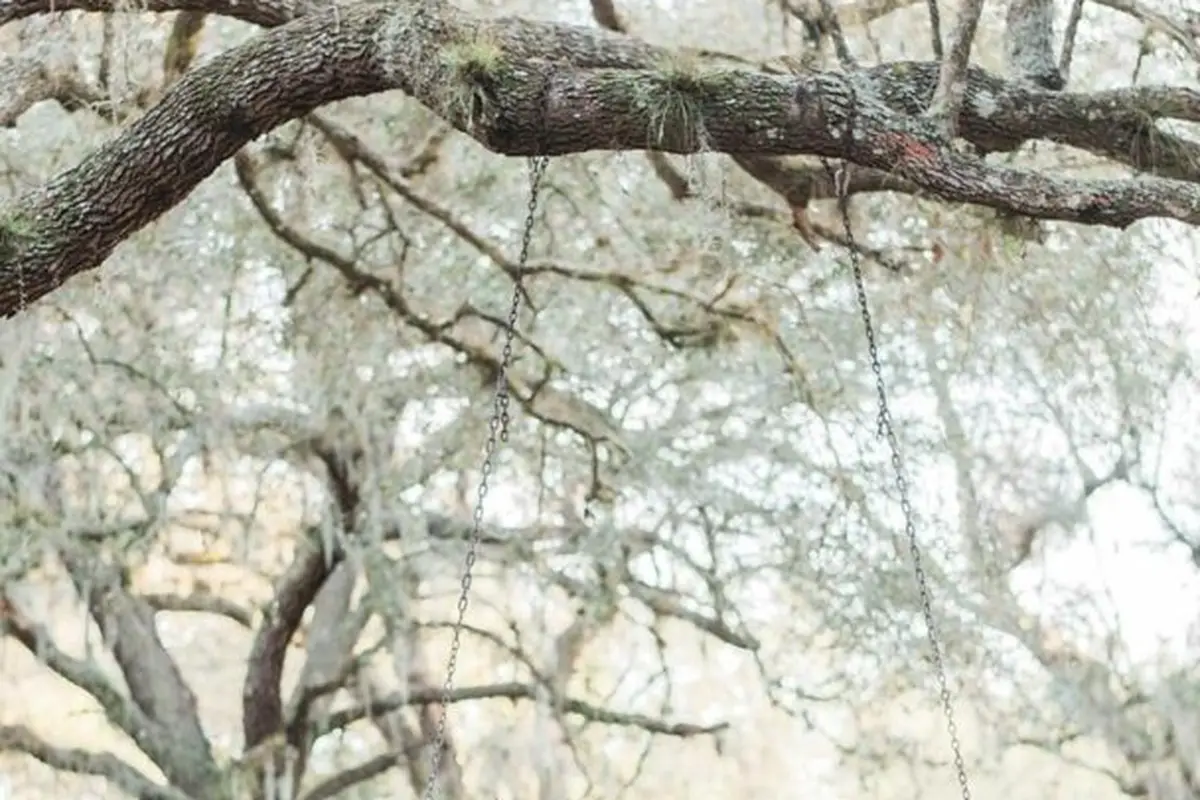 Oaks of Devonaire - cover photo