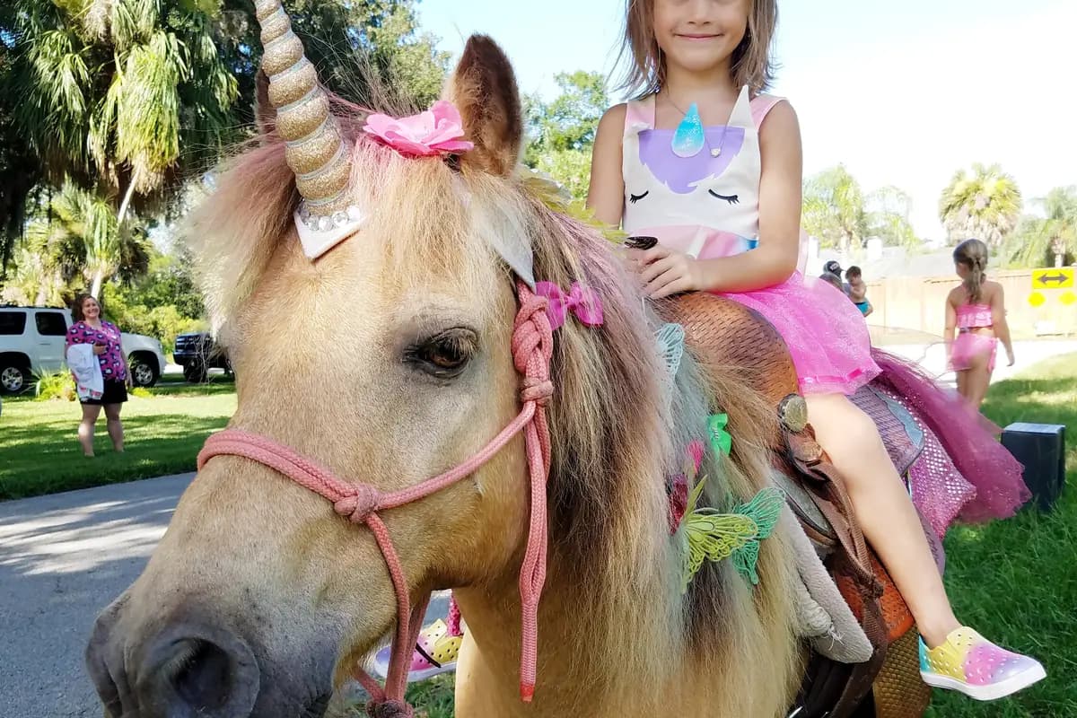 Pinto Carriage Works, LLC - cover photo