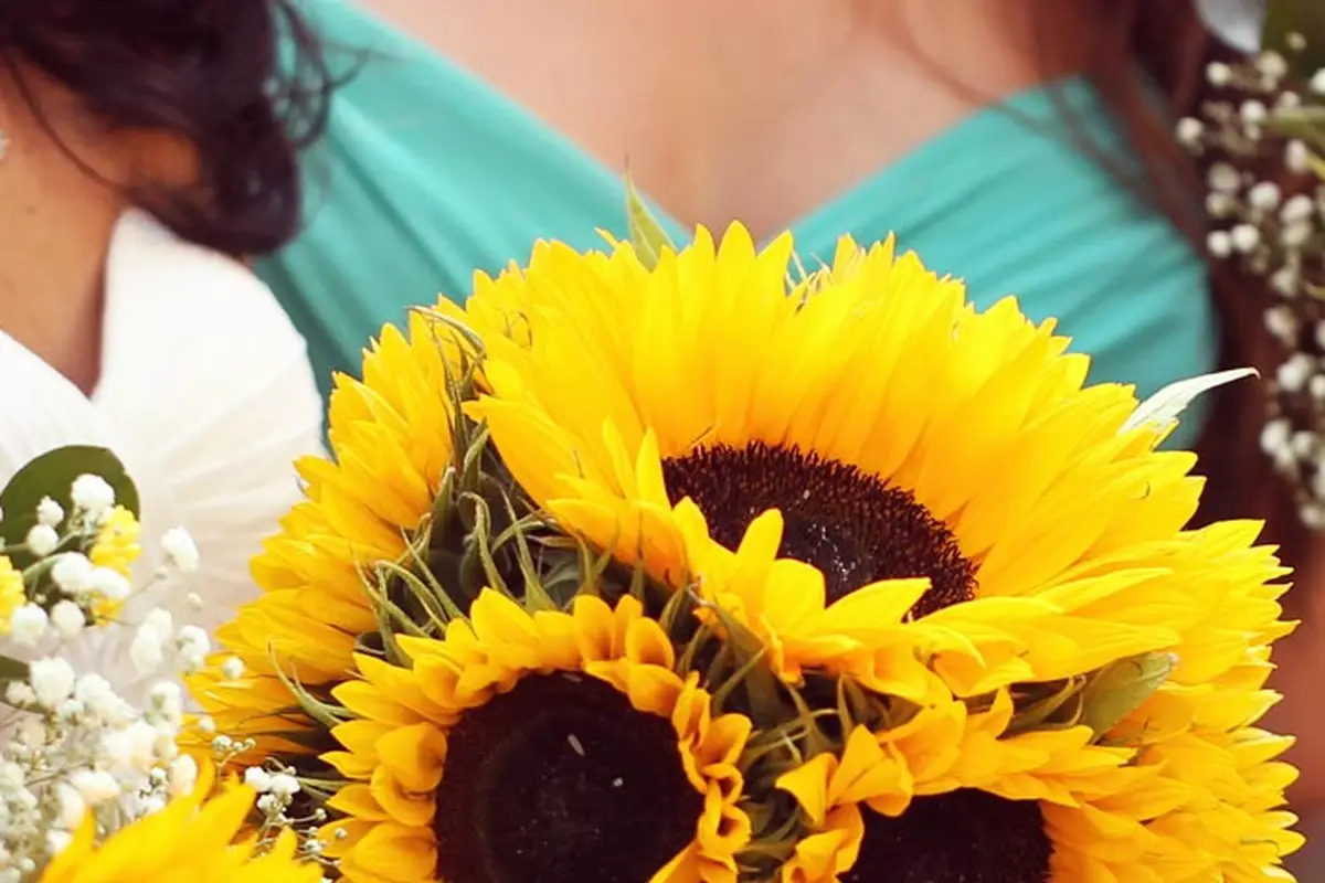Timeless Flowers - cover photo