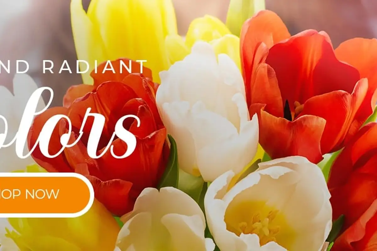 Lake Elsinore VIP Florist - cover photo