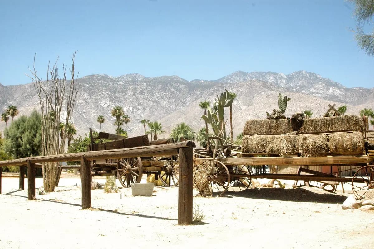 Smoke Tree Stables - cover photo