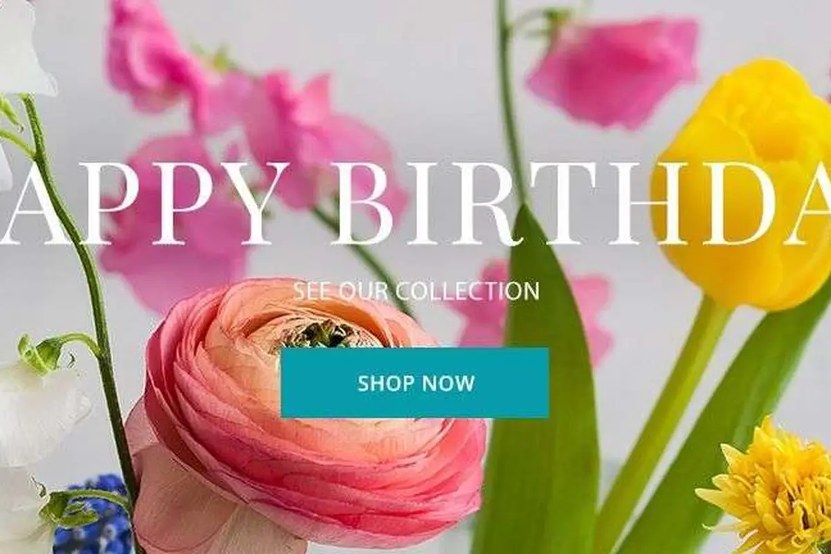 Flower Bar - cover photo