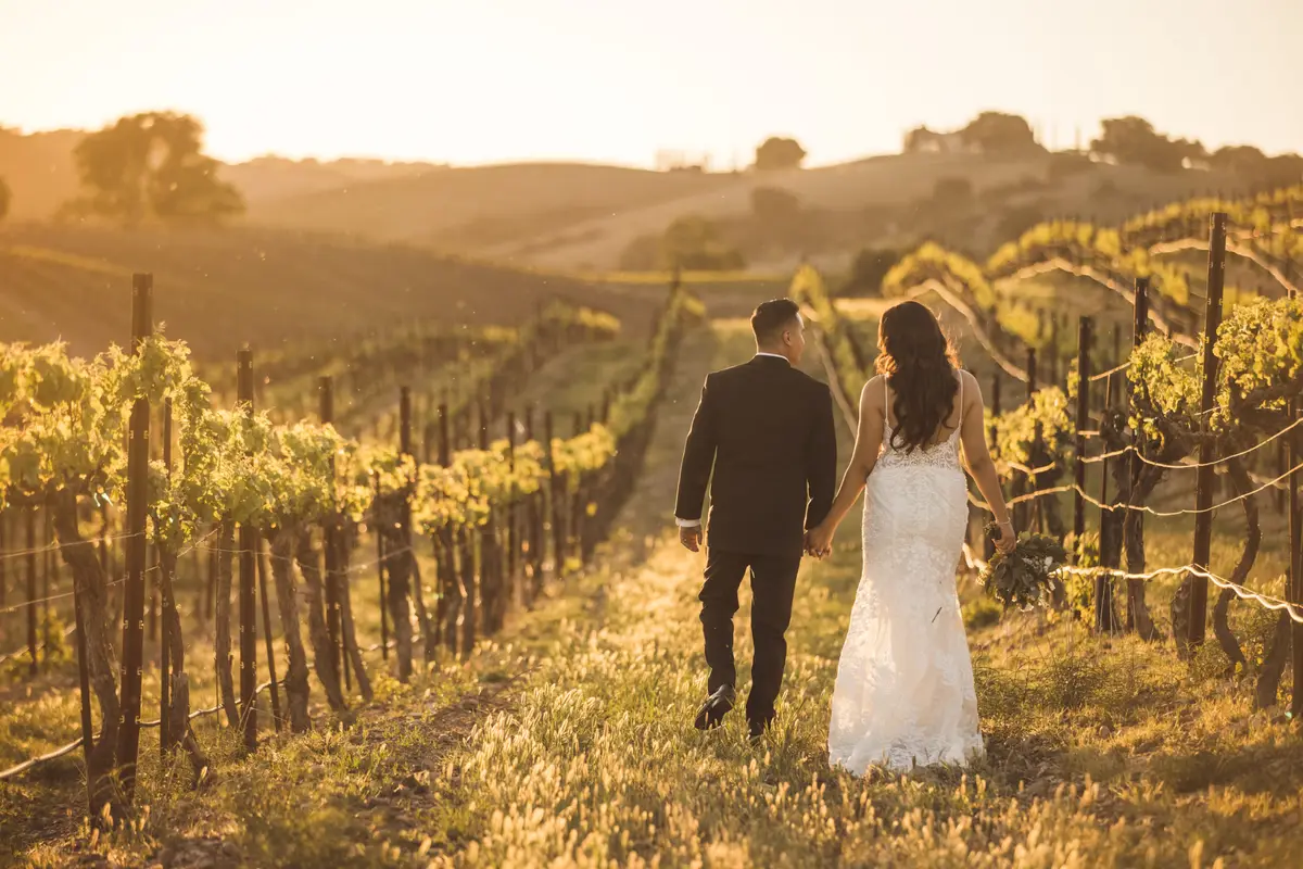 Terra Mia Resort and Wedding Venue - cover photo