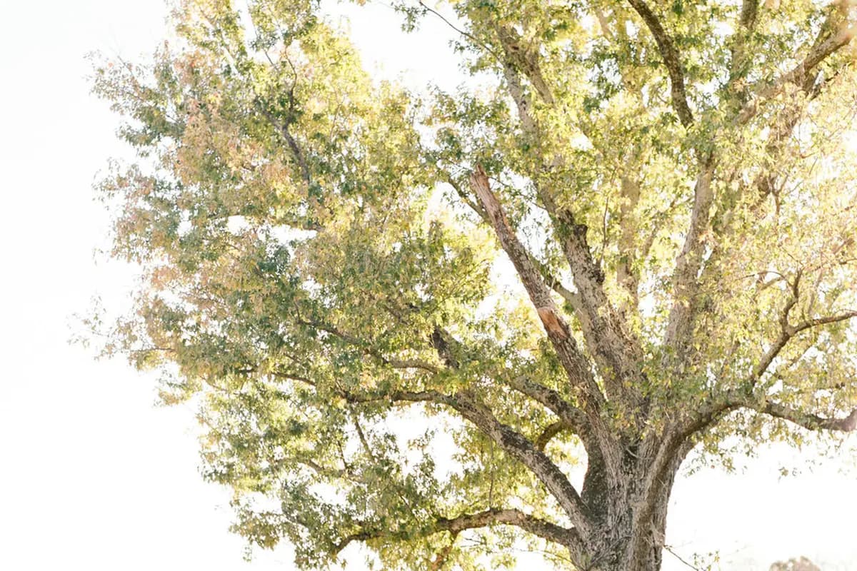 Kelsey & Nate - cover photo