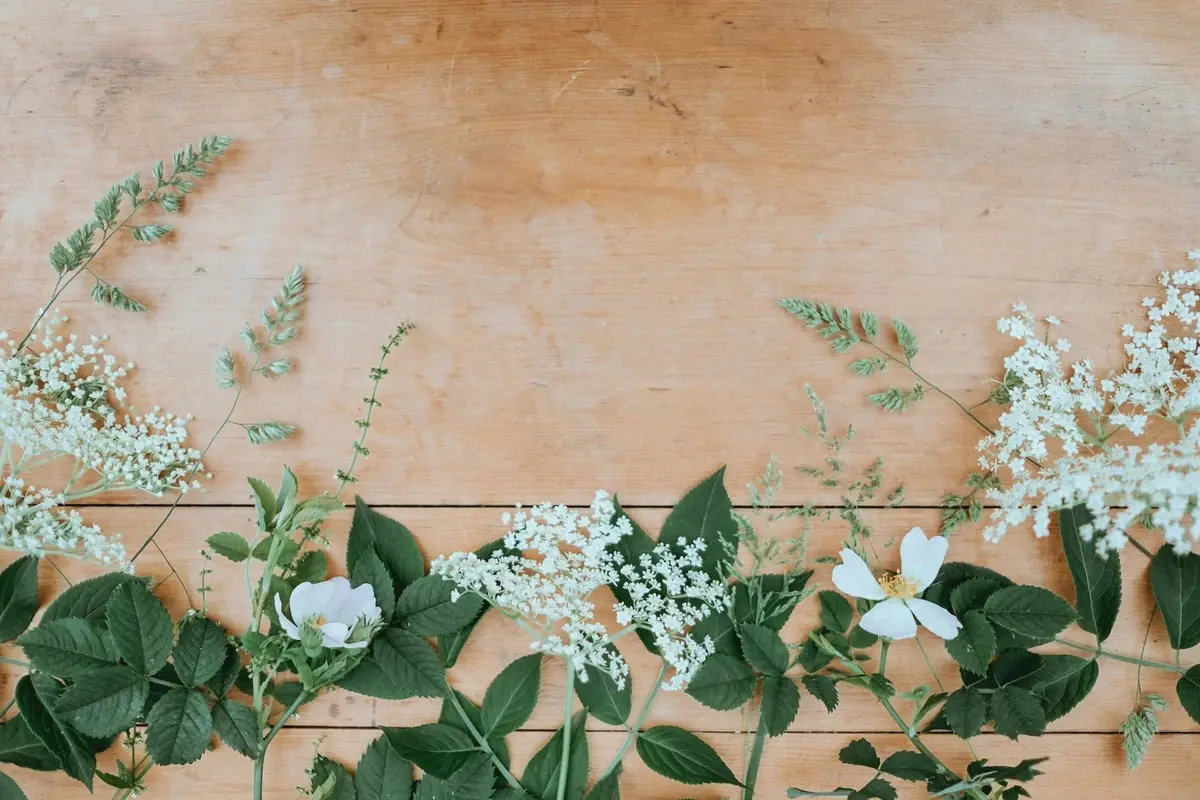 TeeLee Floral and Events - cover photo