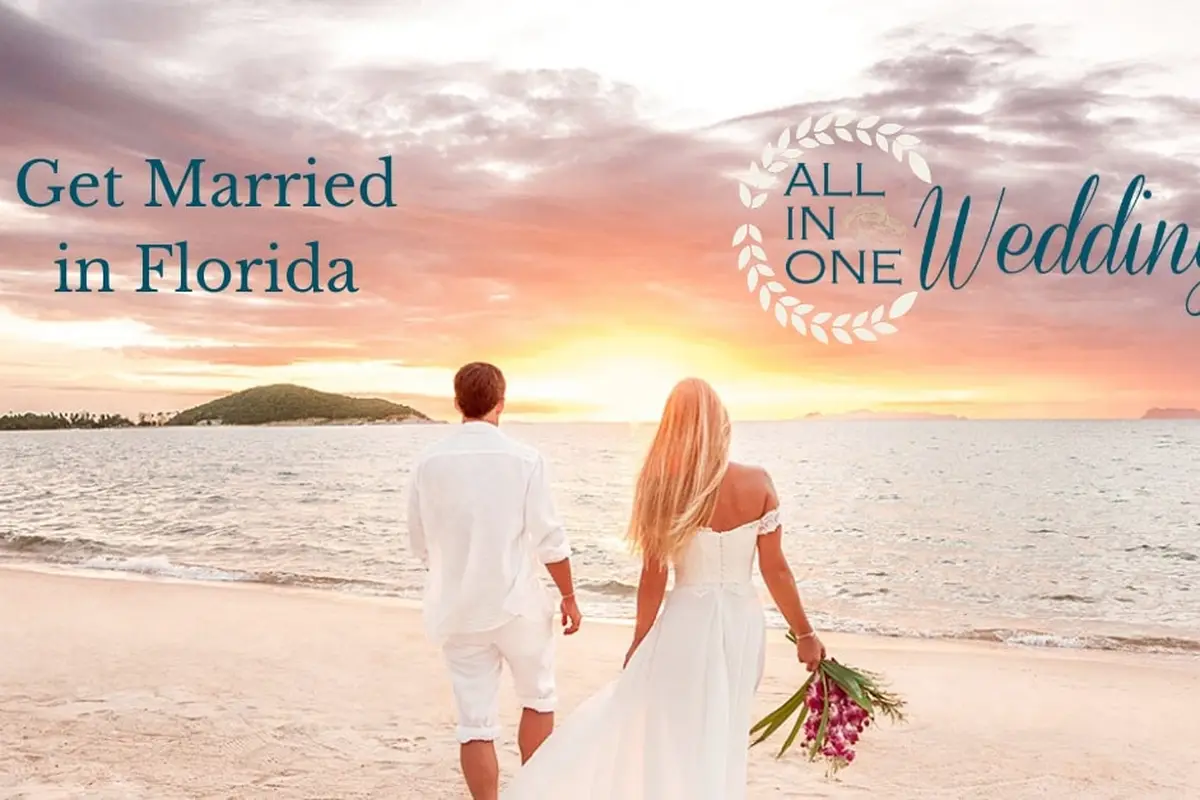 All in One Weddings of Florida - cover photo