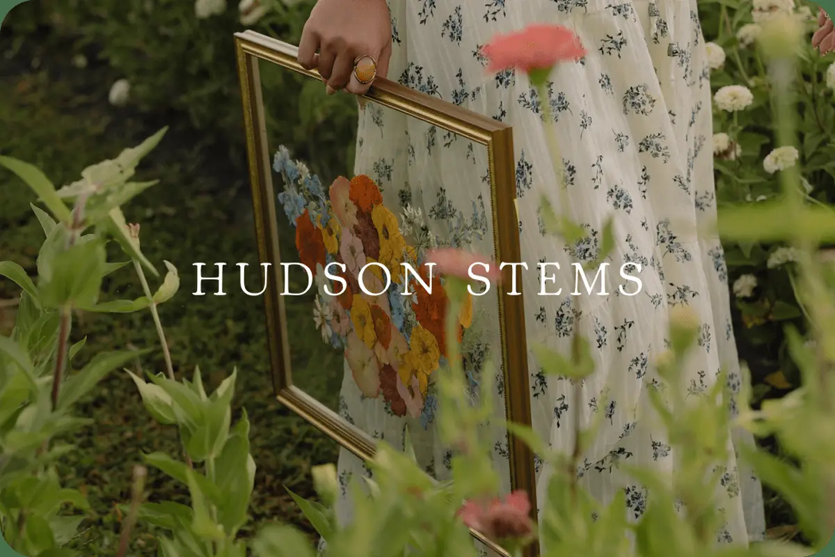 Hudson Stems | Floral Preservation - cover photo