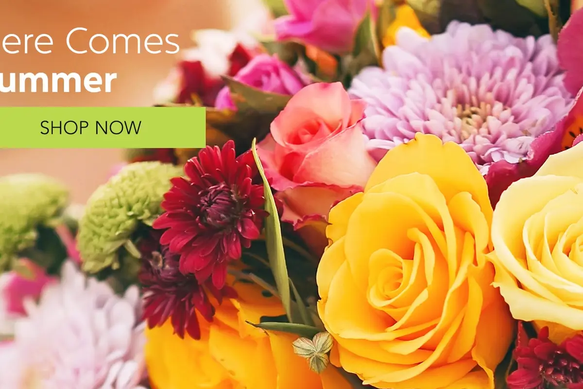 Stemz Flower Shop - cover photo
