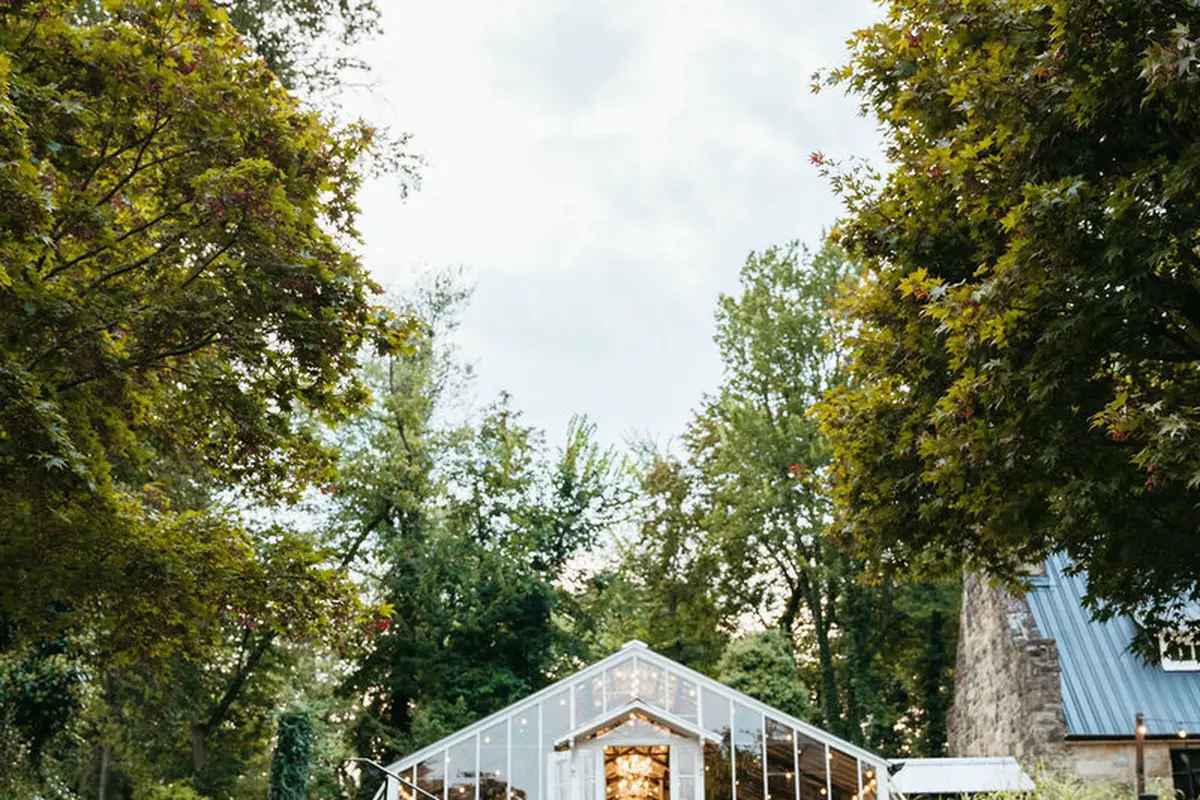 Historic Shady Lane LLC - cover photo