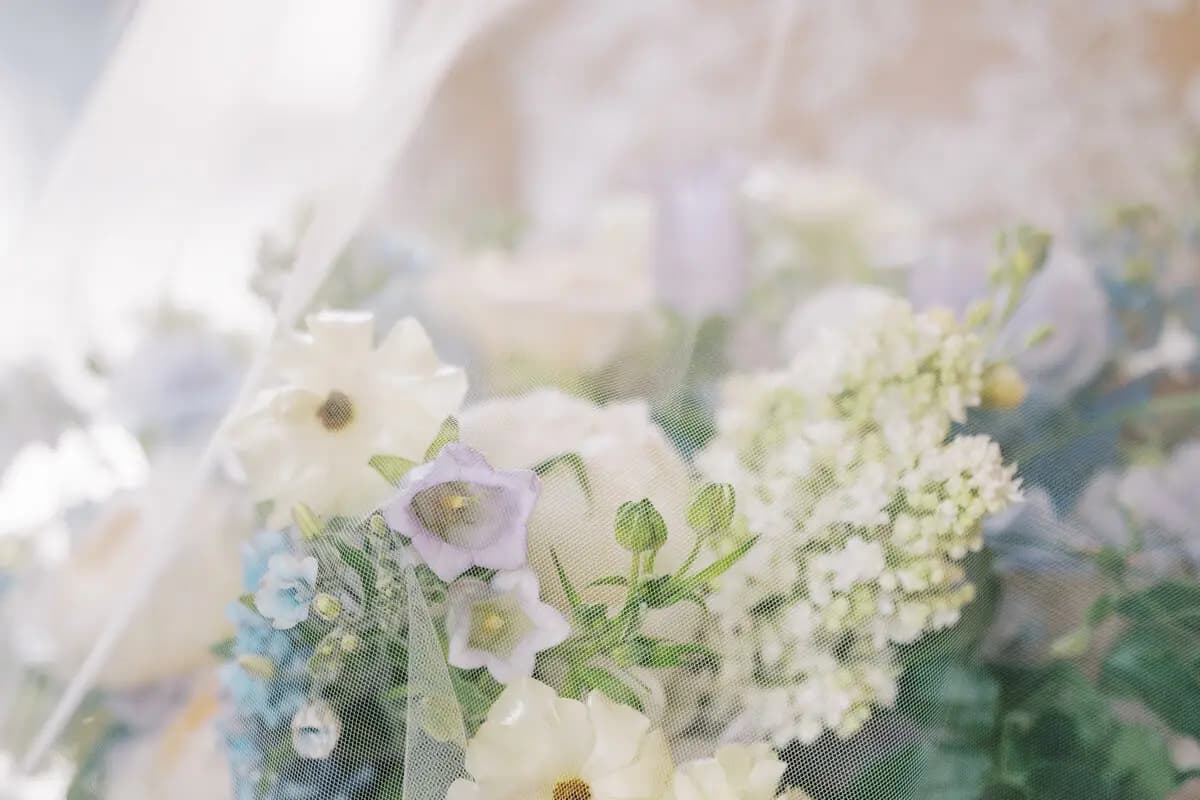 Kismet Visuals & Co - cover photo
