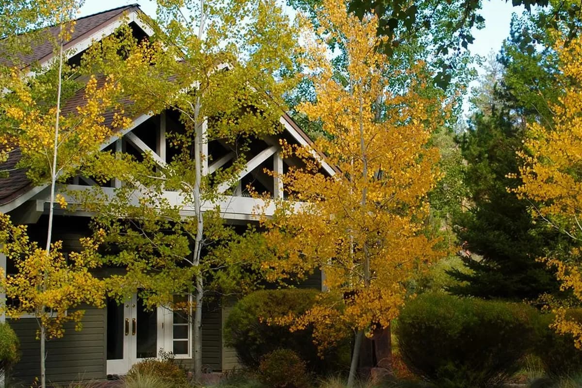 Aspen Hall - cover photo