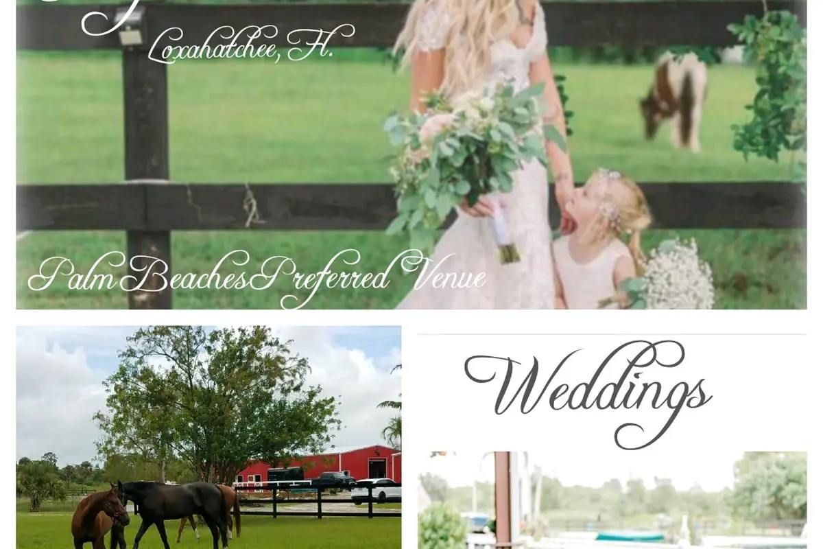 Rayshell Ranch, LLC - cover photo