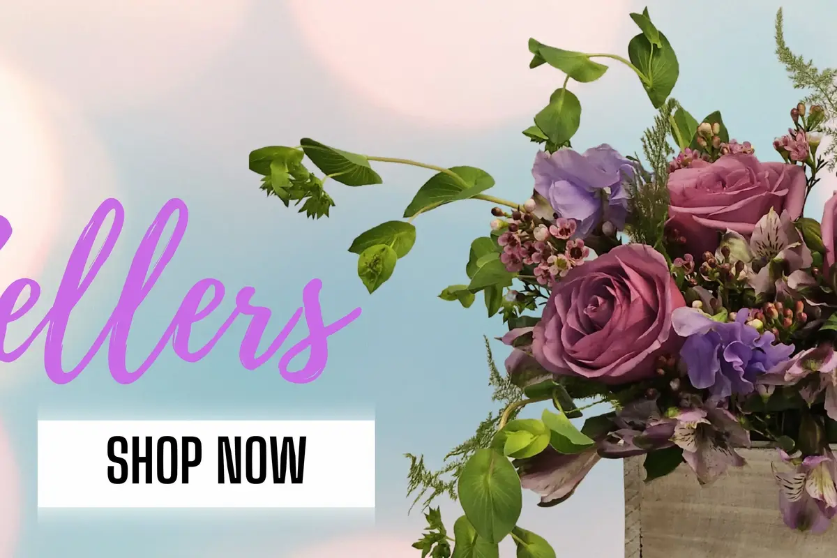 Evergreen Flower And Gift Shop - cover photo