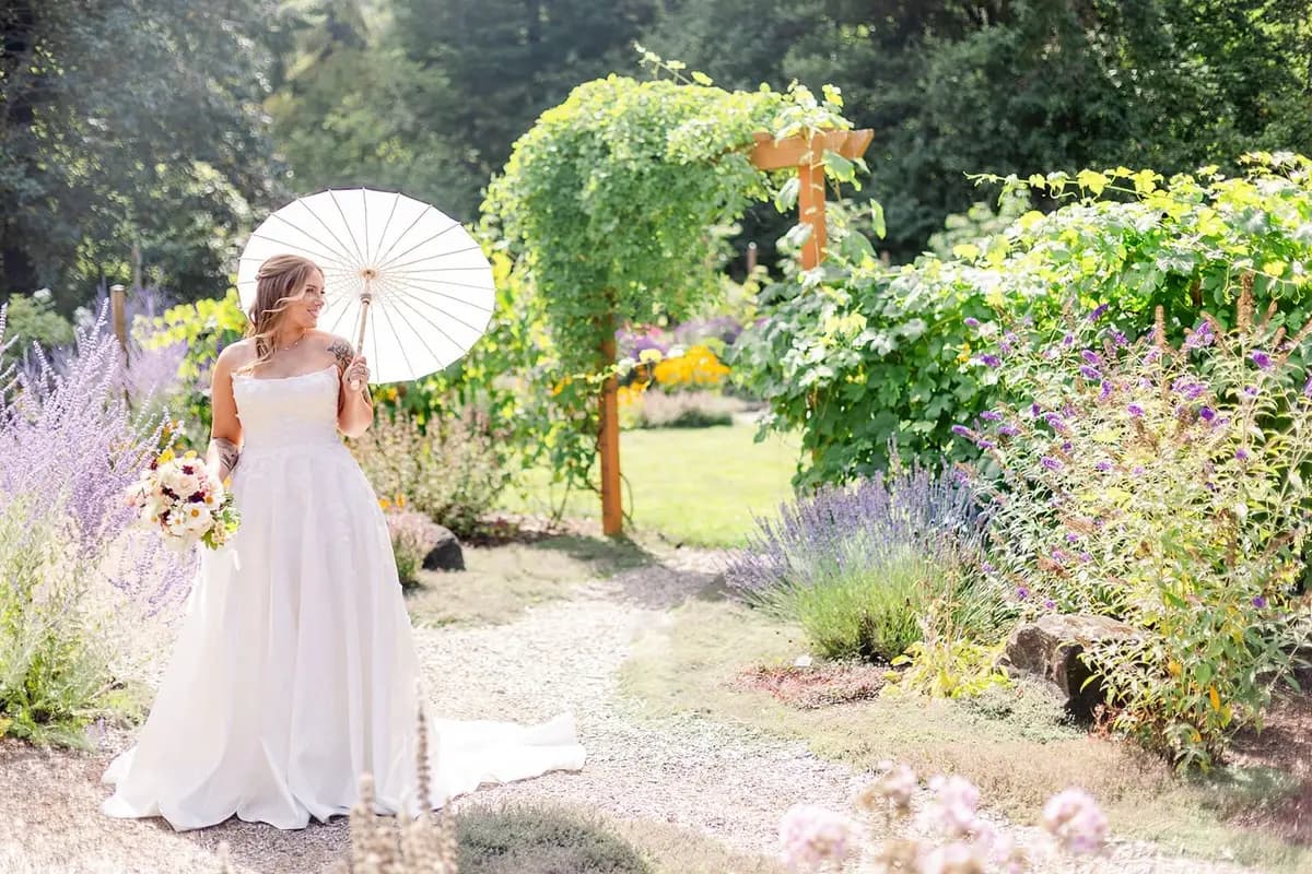 Vernonia Springs - cover photo