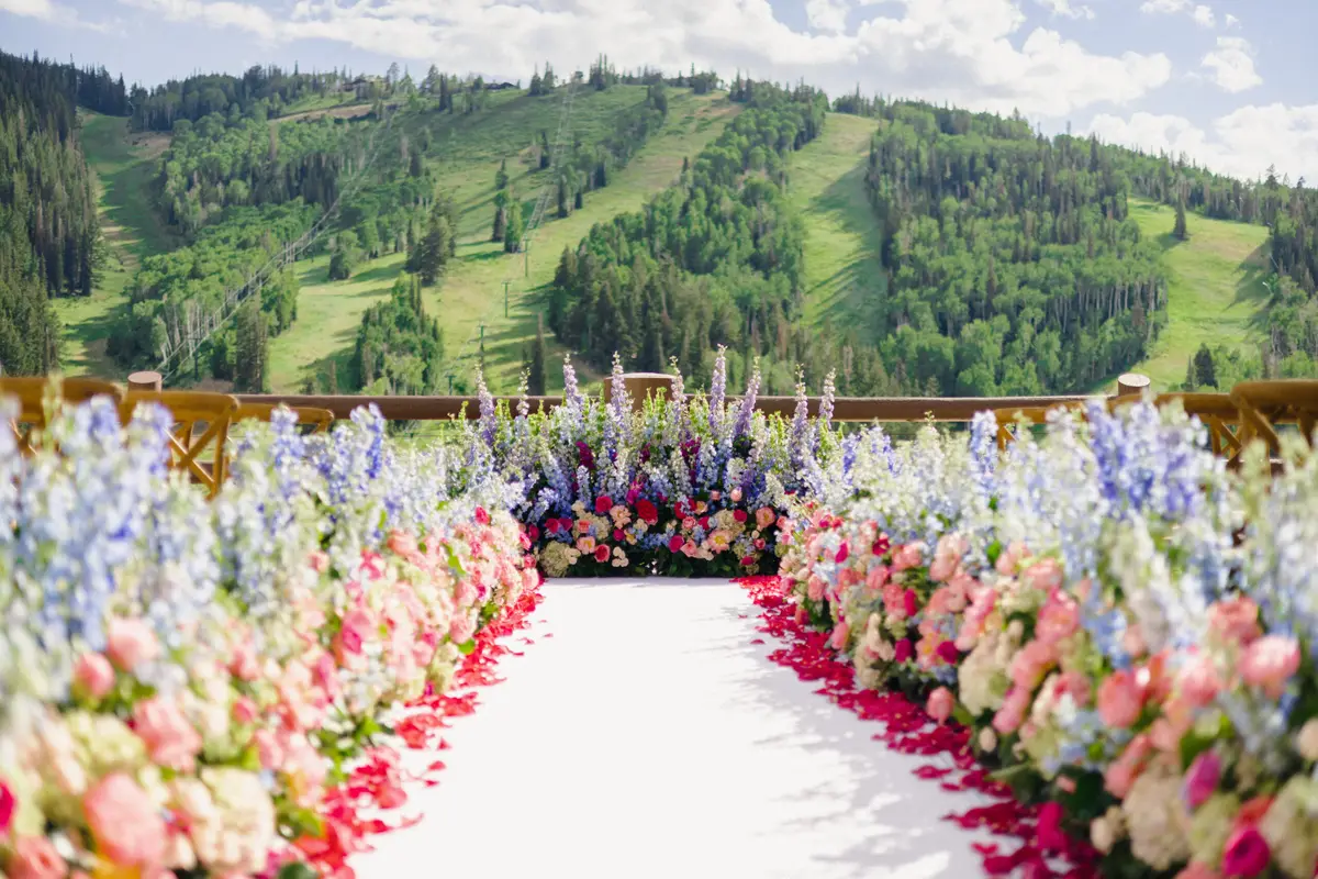 Amanda Reed Weddings - cover photo