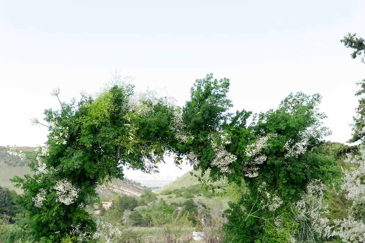 Cloud 9 Weddings & Papers - cover photo