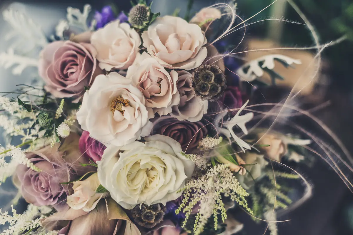 Moon Wedding Ceremonies - cover photo