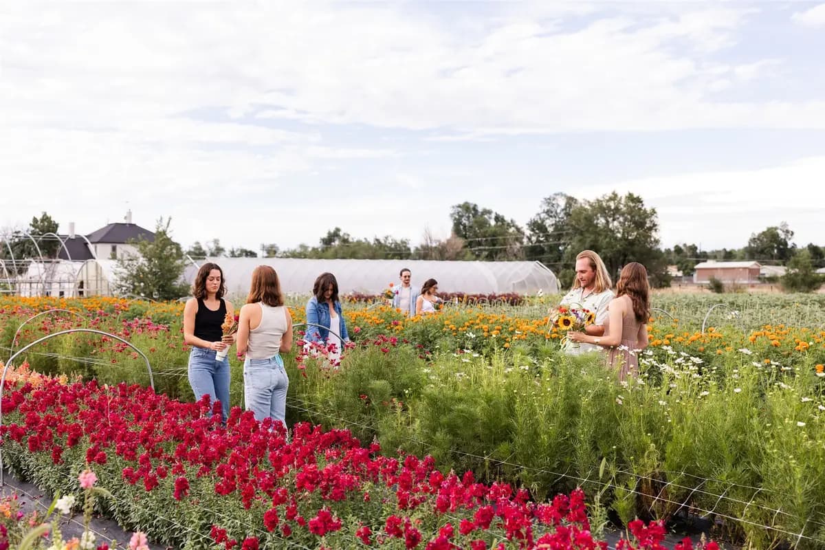 Venetucci Farm - cover photo