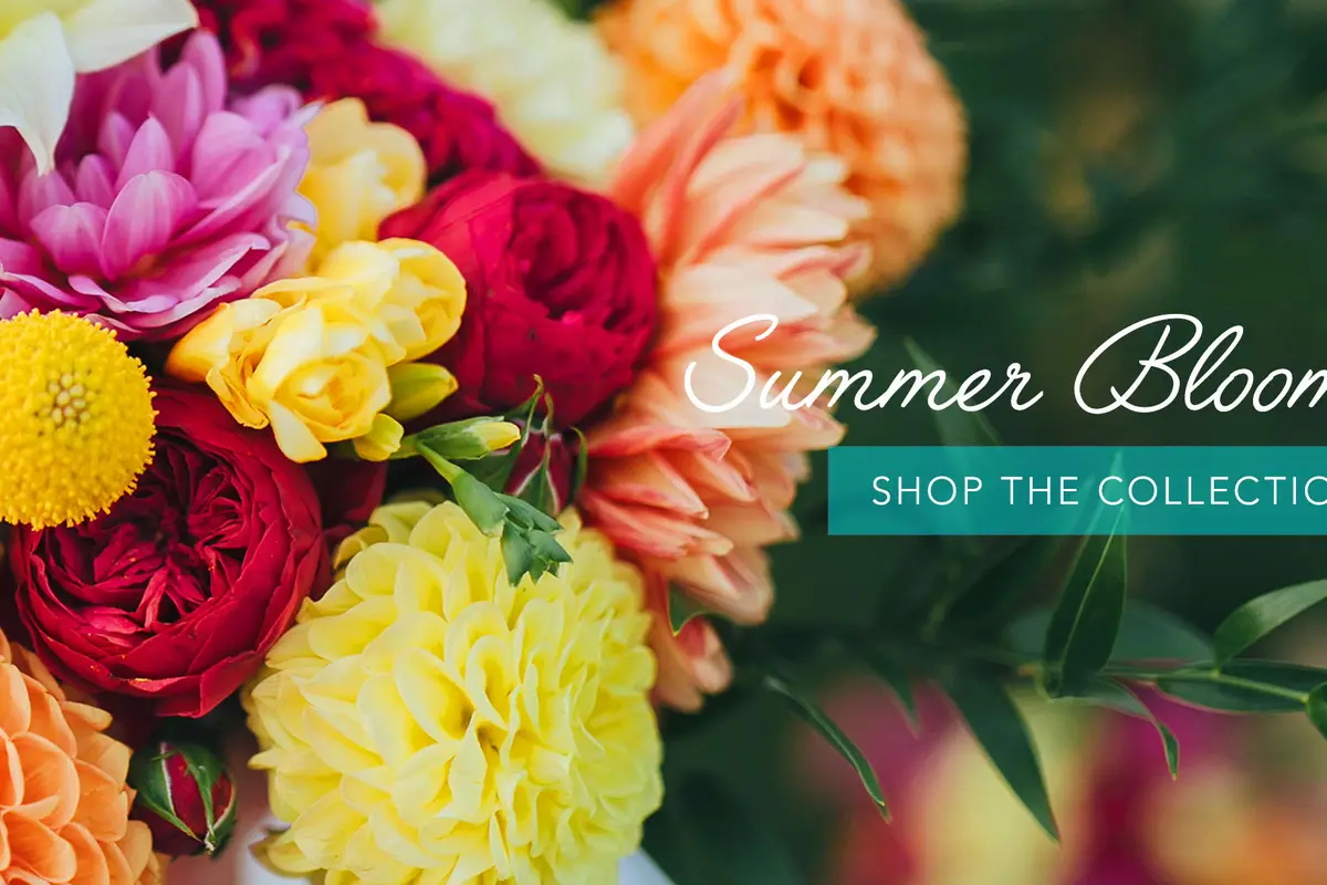 Willits Flowers-W/E Flowers - cover photo