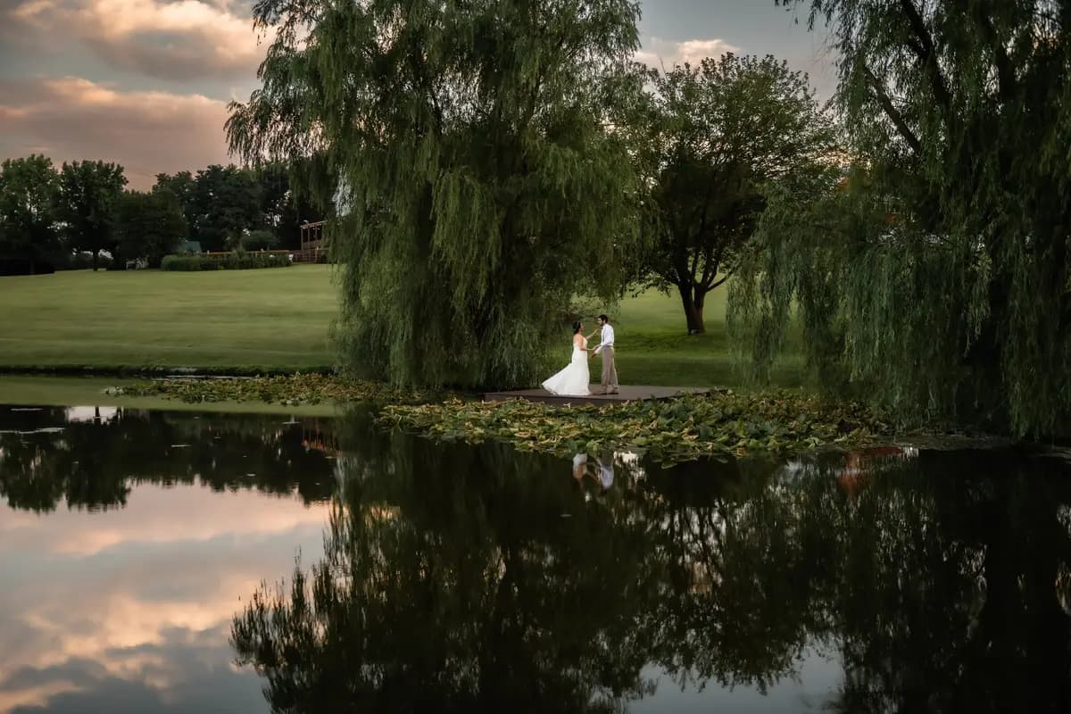 Wind In The Willows - cover photo