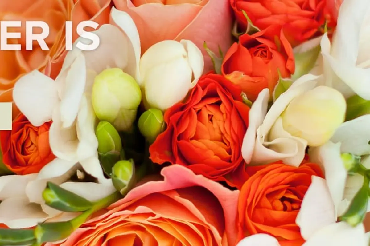 Coady Florist - cover photo