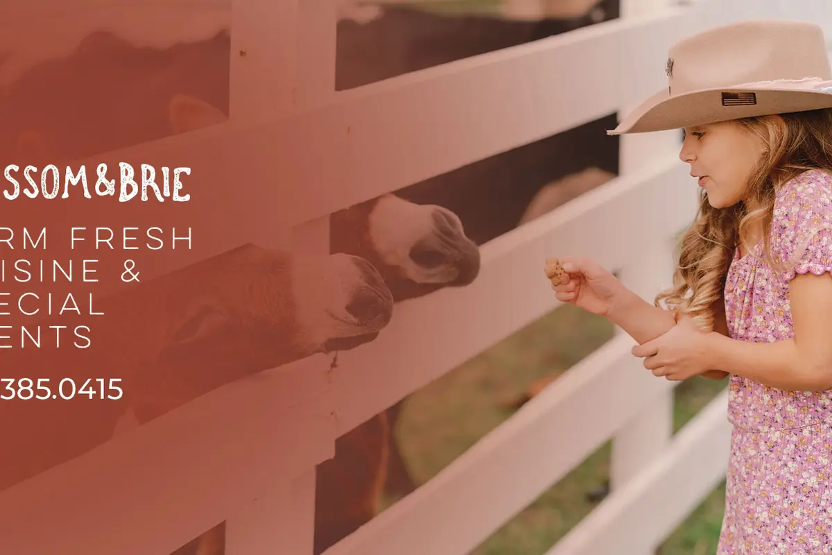 Blossom & Brie - cover photo