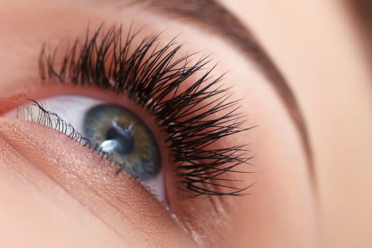 Lash Beauty Bar - cover photo