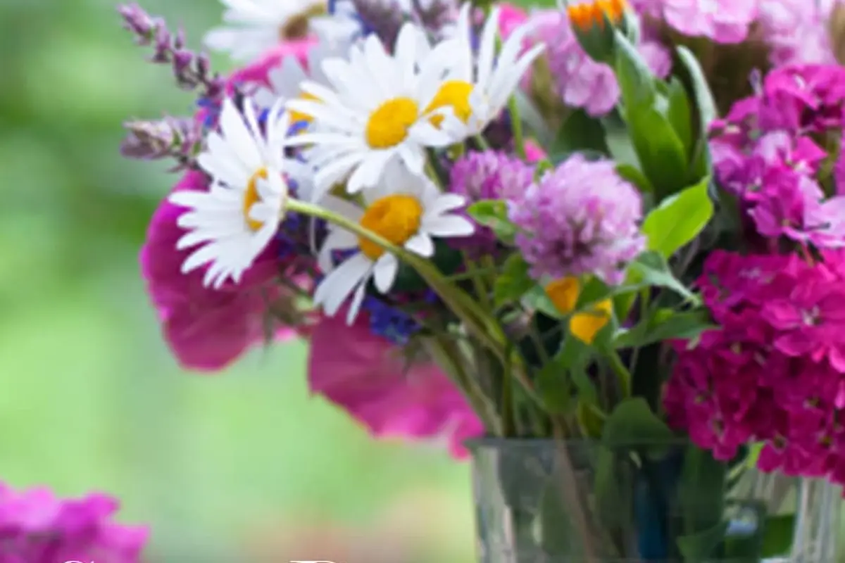 Dixie's Flower Shop - cover photo