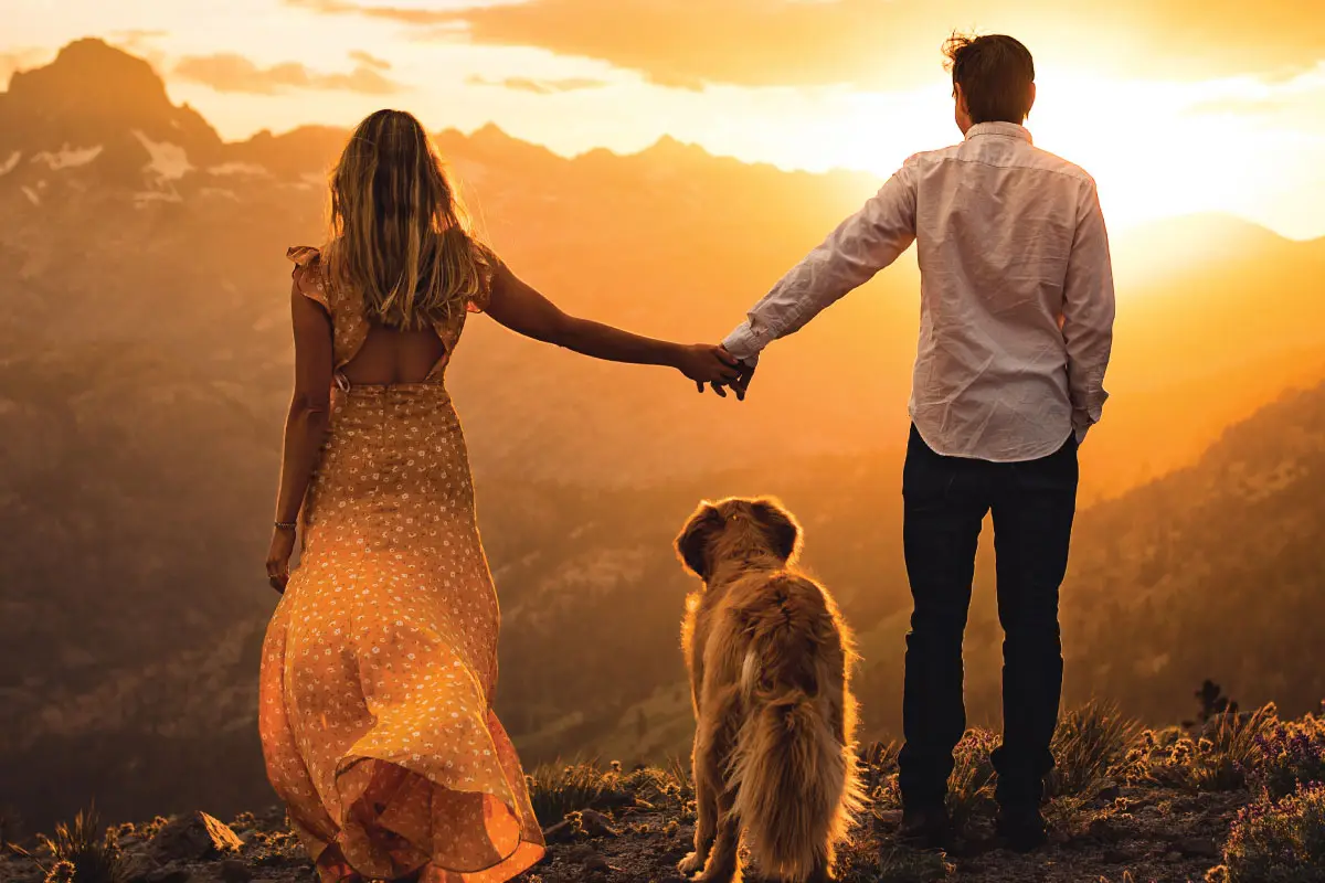 Green Fox Events & Guest Services - cover photo