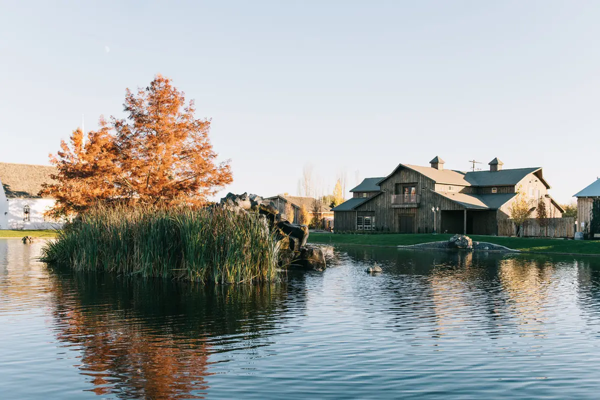 Still Water Hollow - cover photo