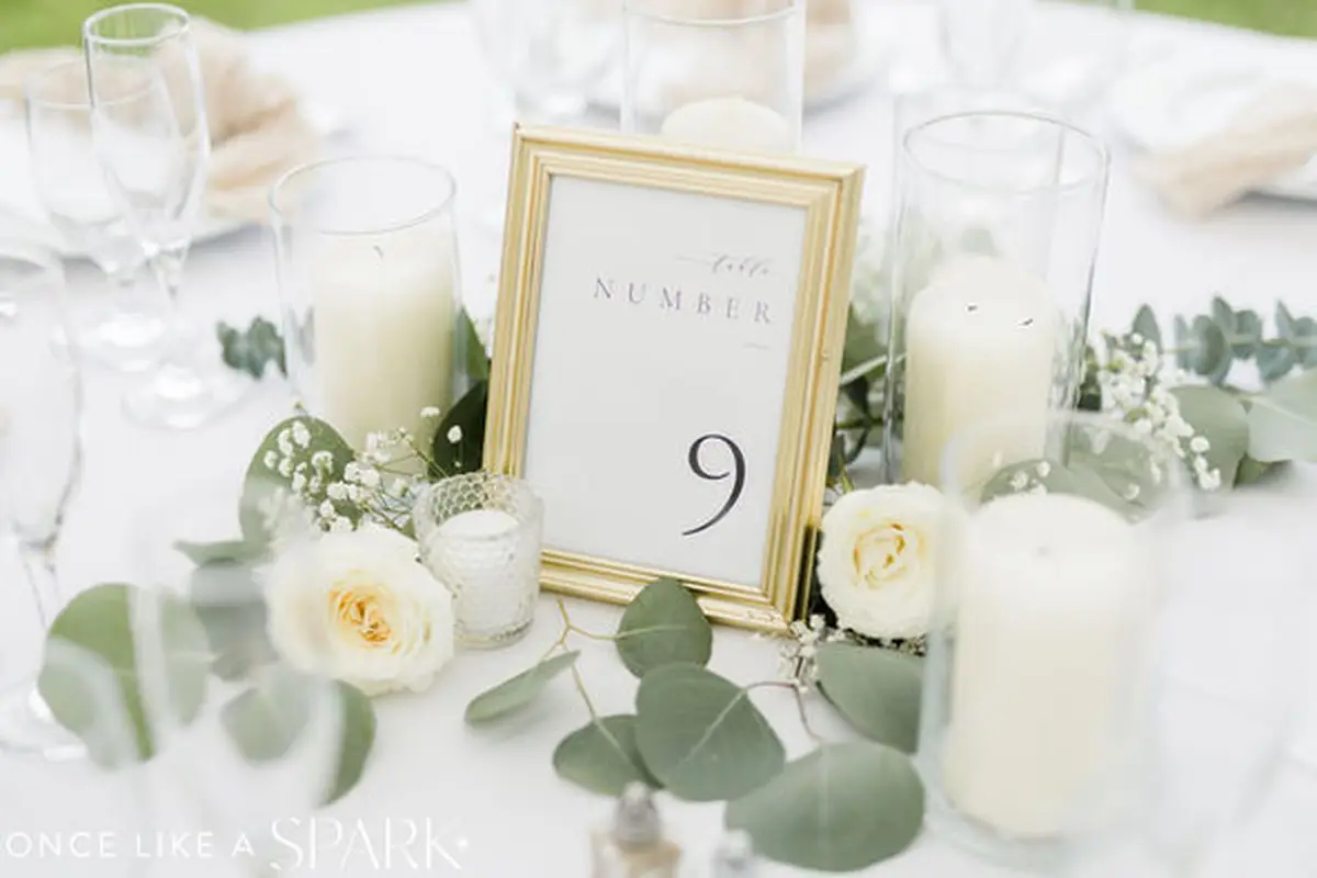 Showcase Events Rentals & Planning - cover photo