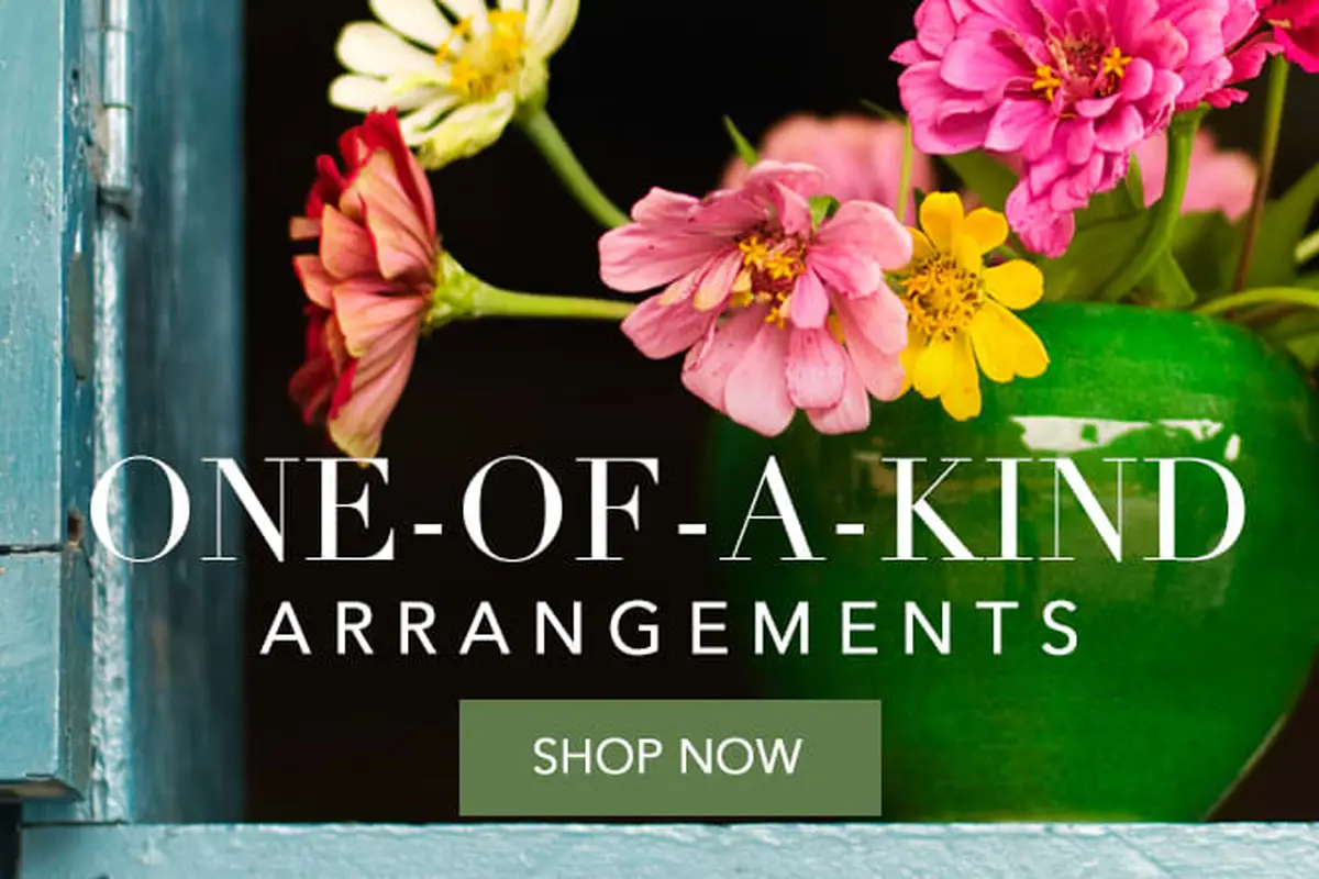 Flower Synergy - cover photo