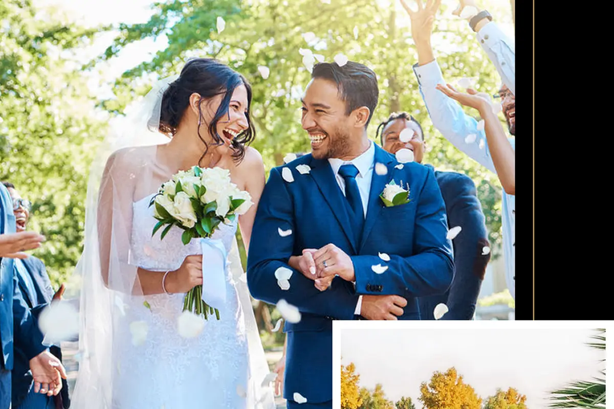 Palm Tree Weddings & Events - cover photo