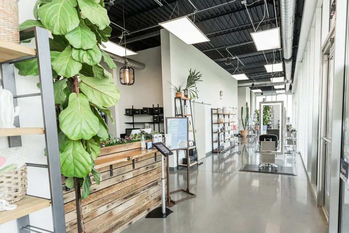 David Wenzel Salon - cover photo