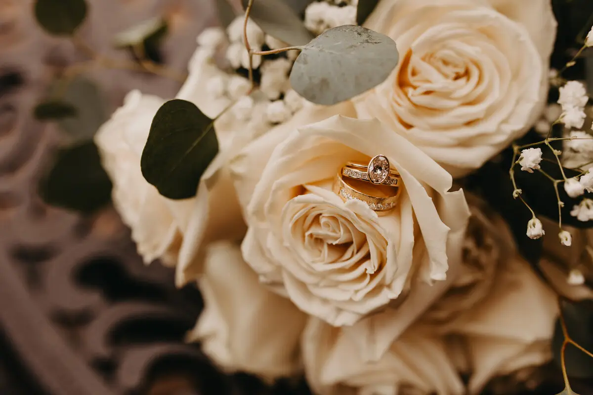 Haley Sophia Photography + Boudoir - cover photo