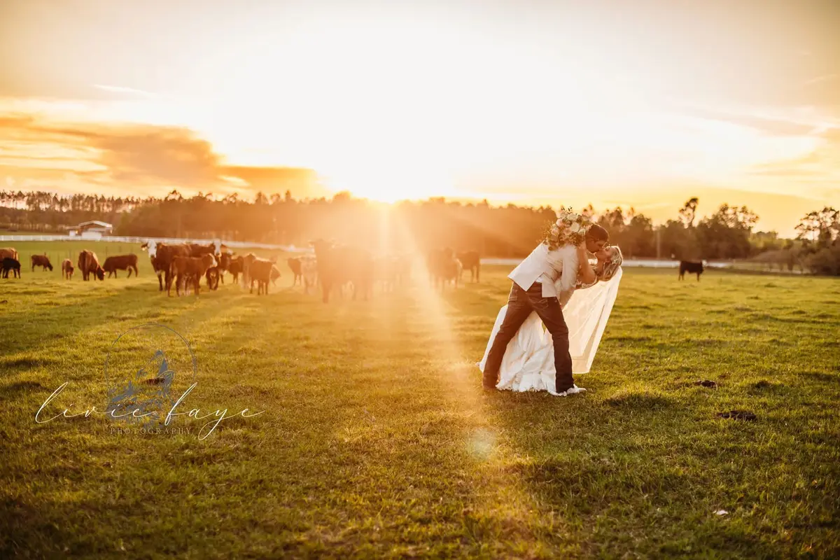 Seven Hills Farm - cover photo