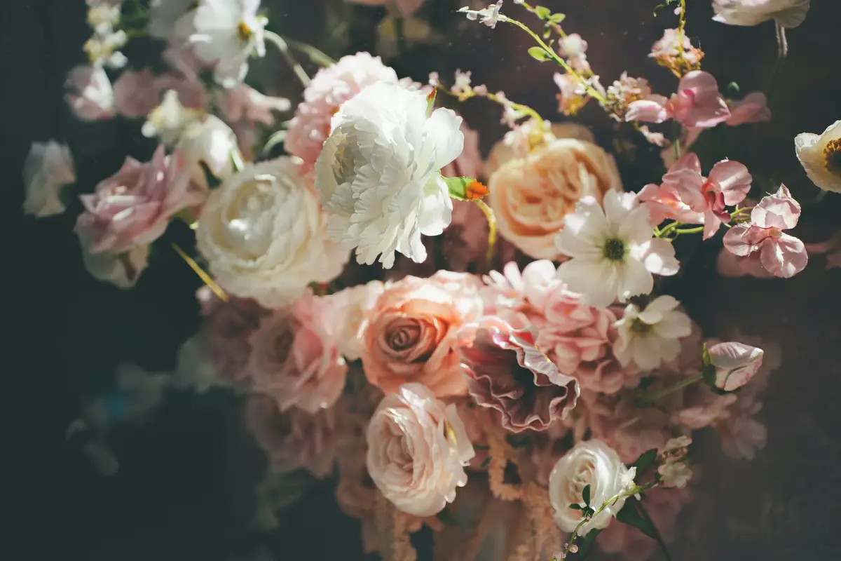 Ratany Bloom - cover photo