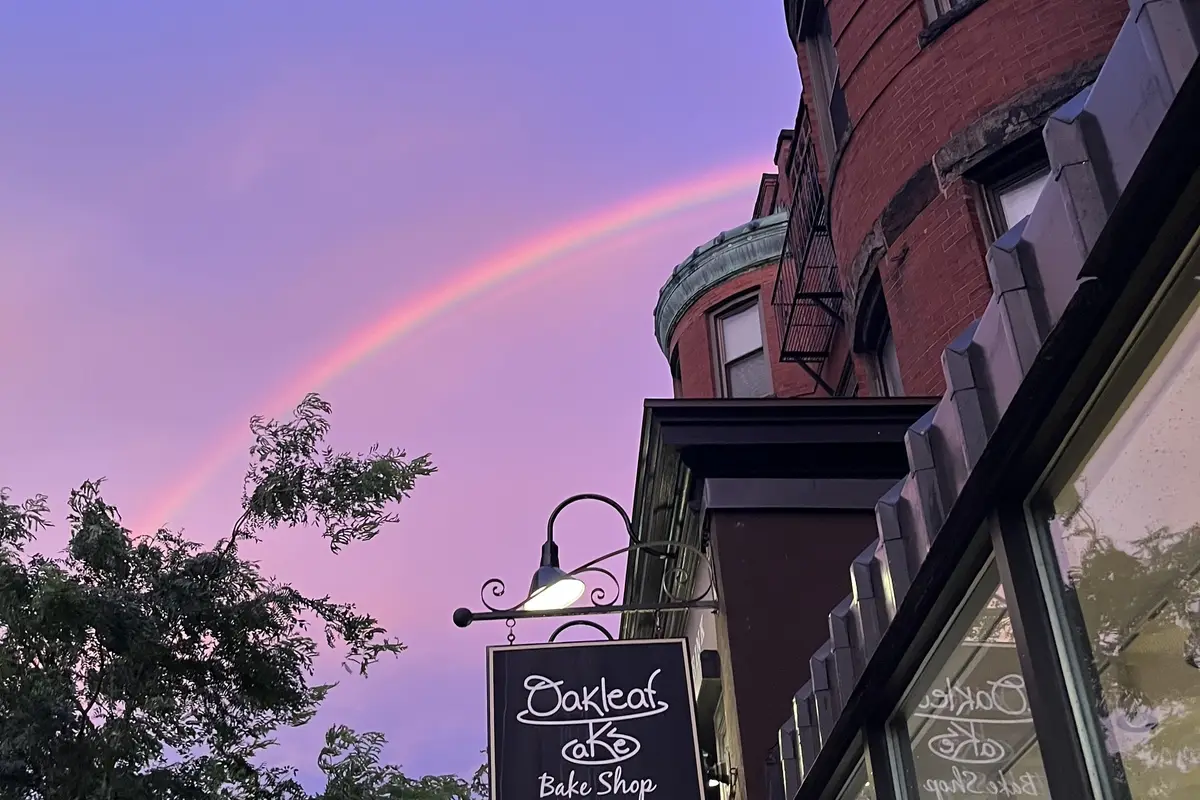 Oakleaf Cakes Bake Shop - cover photo