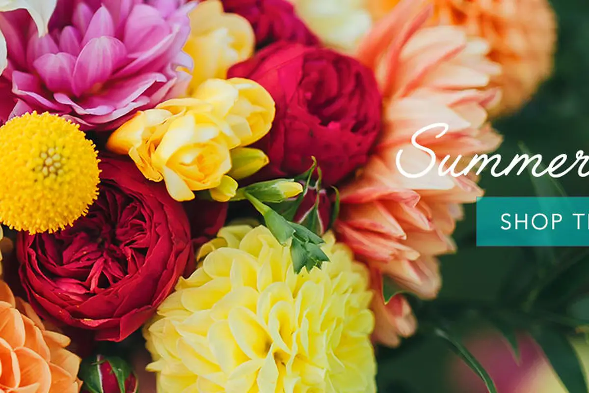 Petal Pushers - cover photo