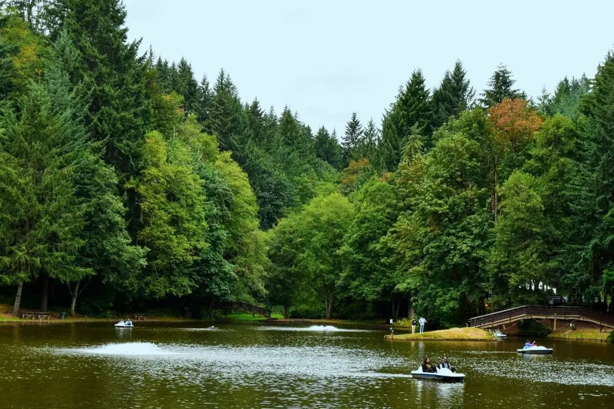 Horning's Hideout - cover photo