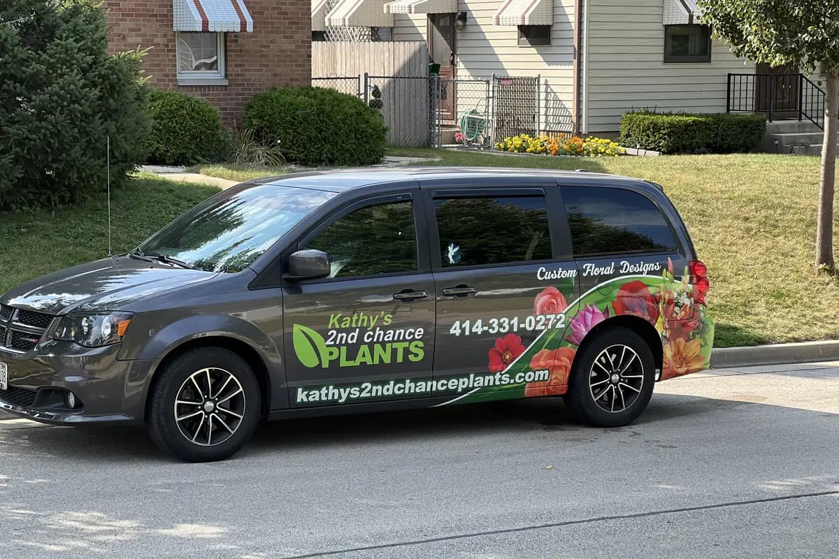Kathy's 2nd Chance Plants - cover photo