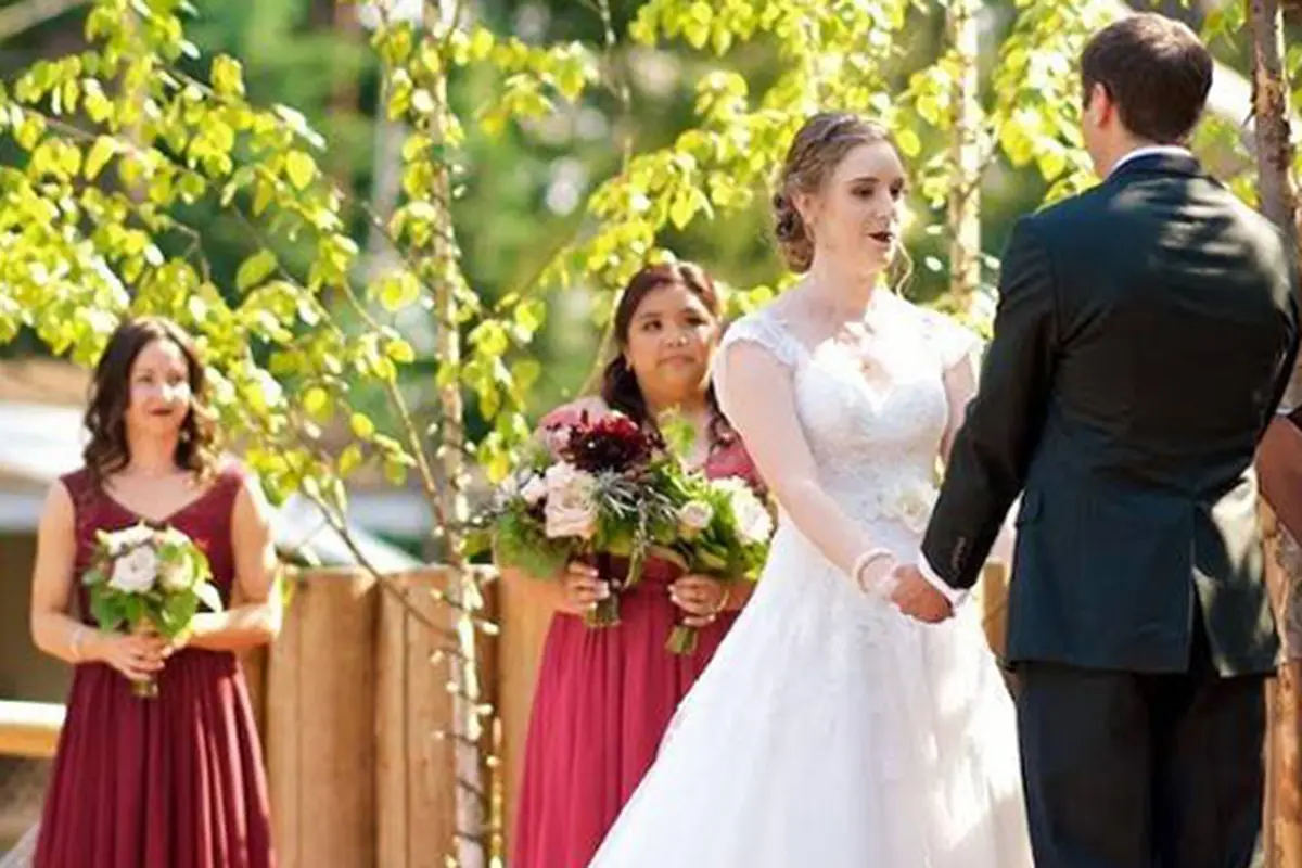 Weddings By Shari - cover photo