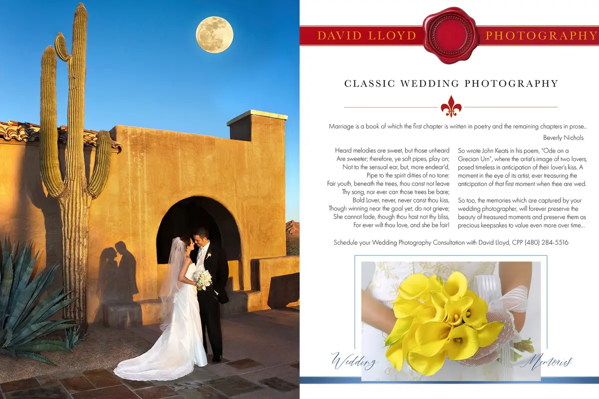 Ethnic Wedding Portraiture & Photography Tutoring – David Lloyd - cover photo