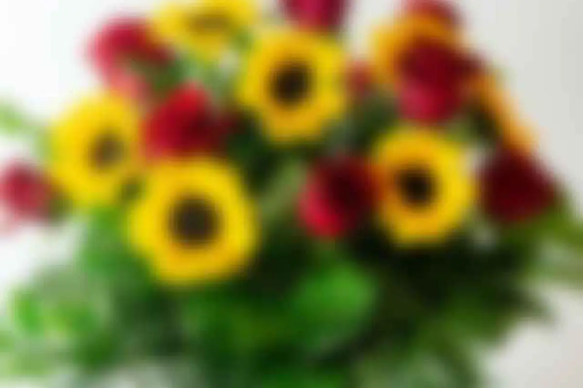 The Flower Alley - cover photo