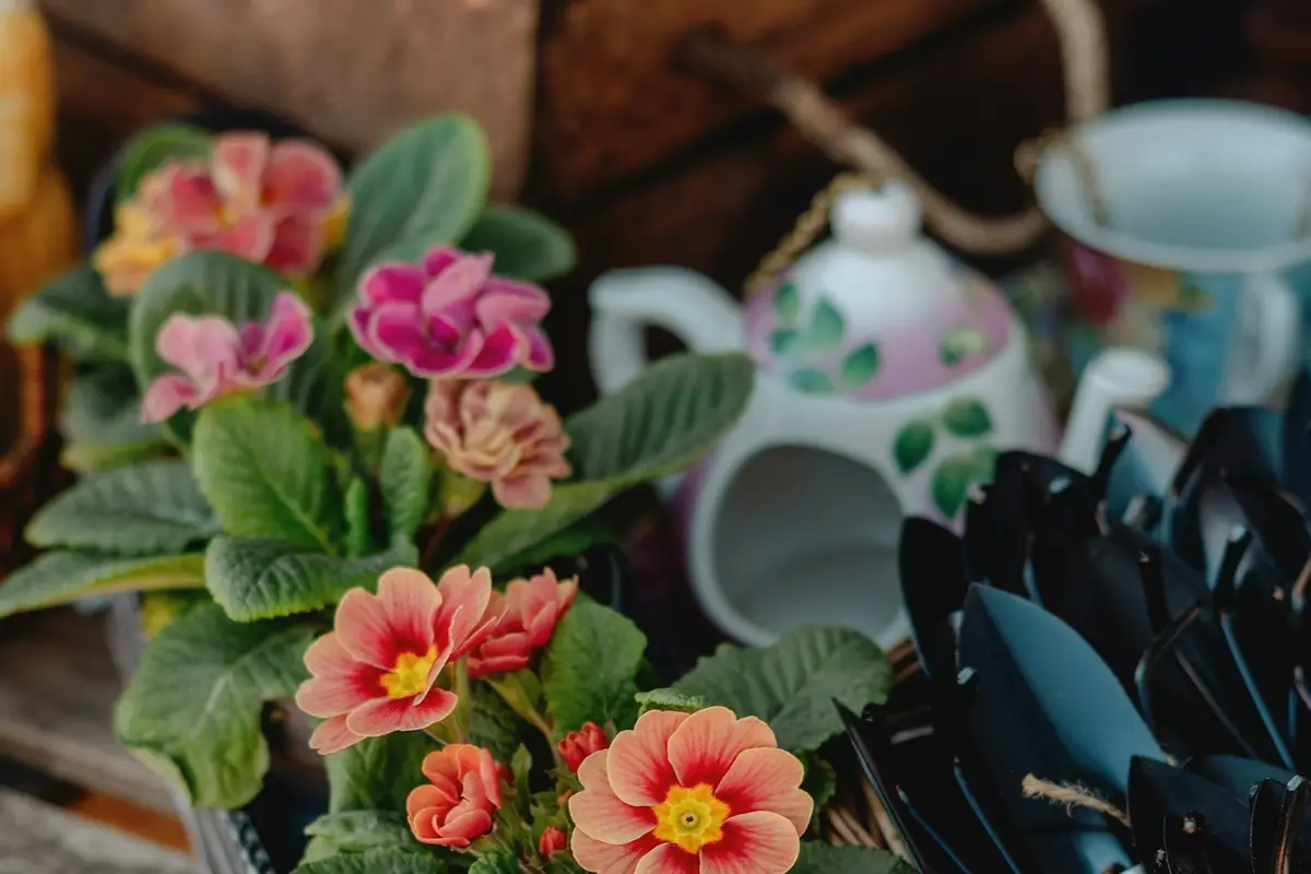 Ricky's Flower Market - cover photo