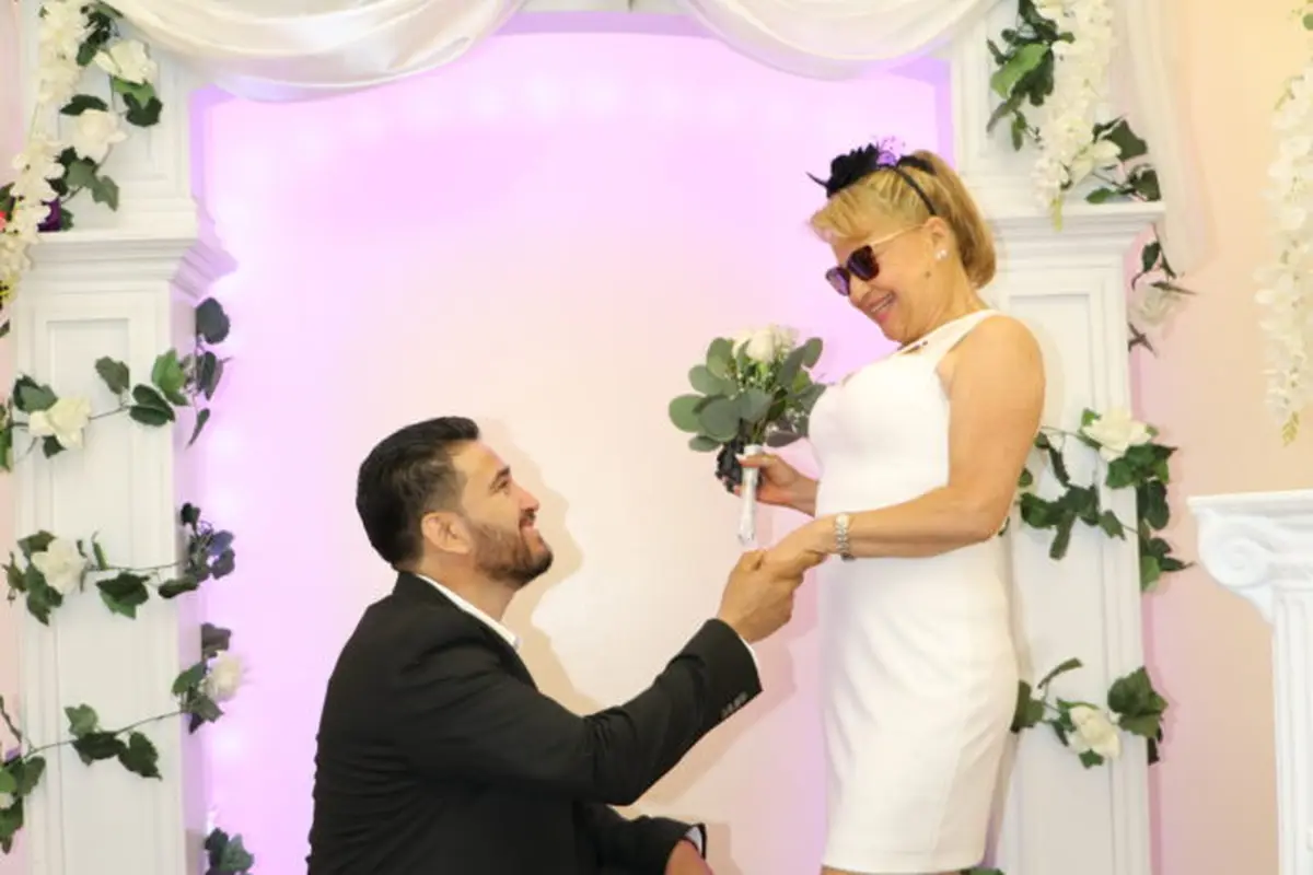 My Wedding Palace - cover photo