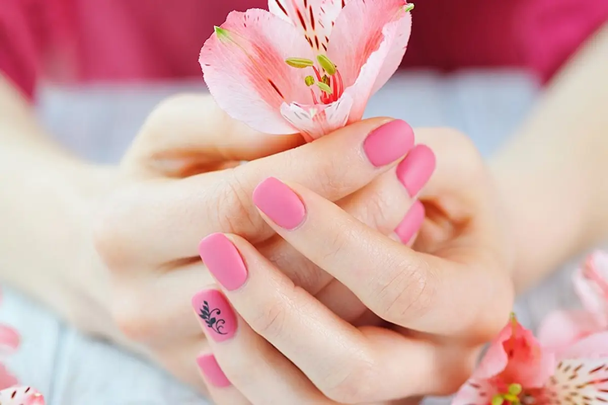 Nails By Tony & Ann - cover photo