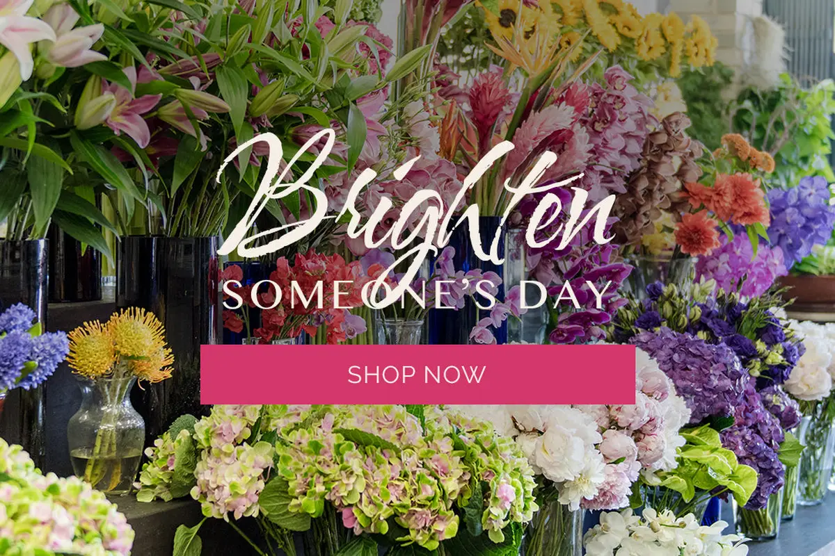 NE Flower Boutique - cover photo