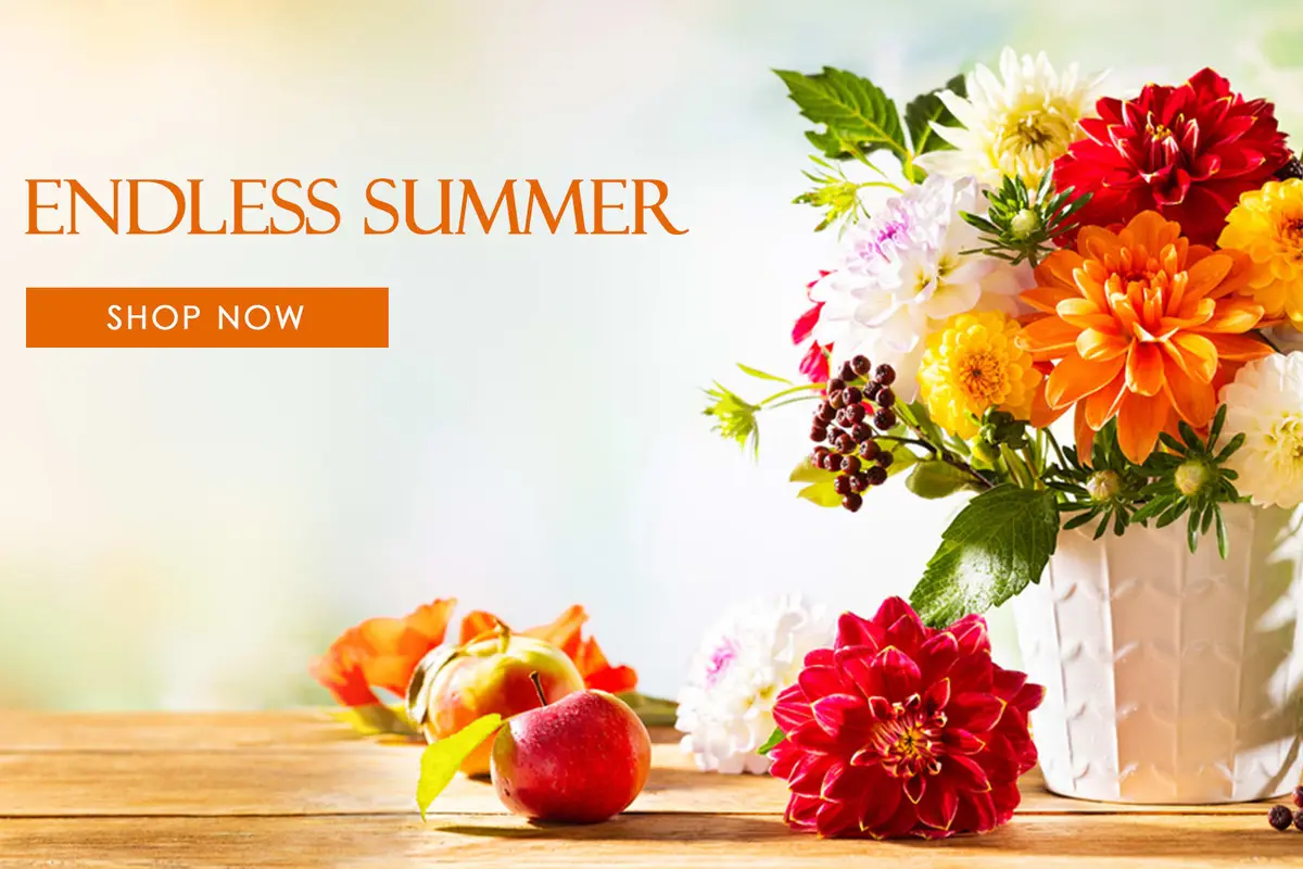 Gotham Florist - cover photo